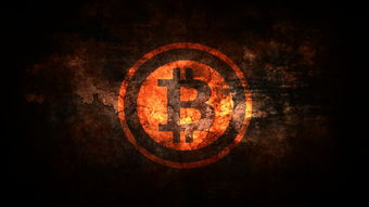 (中信银行顾玉震履历)中信金属总经理顾燕:助力企业稳步发展,铸就行业新纪元。 (中信银行顾玉震履历)中信金属总经理顾燕:助力企业稳步发展,铸就行业新纪元。