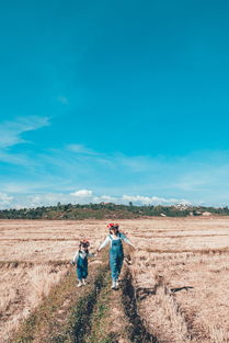 (洪荒文明玩法)洪荒文明可以制作为单机游戏吗? (洪荒文明玩法)洪荒文明可以制作为单机游戏吗?