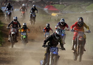 战场模拟器新战：上线最新版本，挑战更多对手，体验全新战斗乐趣