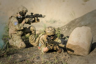(武神赵云手游)掌握无敌技巧，成为最强武神赵云玩家的攻略指南