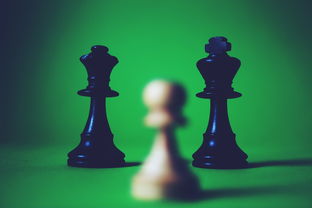 深度揭秘精灵合合合游戏：一起探索神秘精灵世界，挖掘那些被忽视的奥秘和乐趣