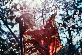 (时之幻想曲官网)揭秘时之幻想曲最强UR角色排名，谁才是真正的王者？