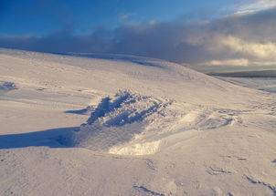 (伟大航线游戏)探寻时空边际的精彩旅程：伟大航线攻略全面分析及实用指南