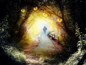 (猎命是什么意思)猎命人：在命运的交错中寻找人生真谛与隐秘的冒险旅程