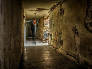 (普鲁士王国是什么制度)普鲁士王国如何崛起并成为欧洲强国的关键历程和影响力 (普鲁士王国是什么制度)普鲁士王国如何崛起并成为欧洲强国的关键历程和影响力