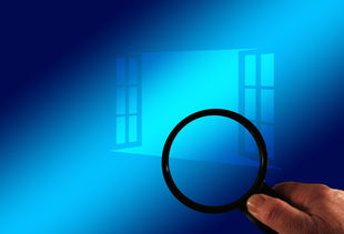 (无限融合进化)探索不断融合进化元素的游戏世界，解开无尽之谜