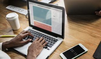 深度解析:'雪鹰领主'境界划分影响角色成长与剧情进展的重要性 深度解析:'雪鹰领主'境界划分影响角色成长与剧情进展的重要性