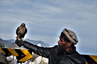 (行界零官网)深入解析行界行界与归界行界的区别及其在实际应用中的影响 (行界零官网)深入解析行界行界与归界行界的区别及其在实际应用中的影响