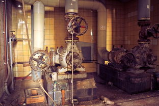 (美丽山乡歌词)美丽山妹子——探寻神秘山野的歌词灵感 (美丽山乡歌词)美丽山妹子——探寻神秘山野的歌词灵感