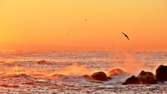 (中国几千年的历史长河中的故事)探索千年之旅:揭秘历史长河中的文化、文明与人类智慧 (中国几千年的历史长河中的故事)探索千年之旅:揭秘历史长河中的文化、文明与人类智慧