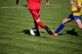 (摩洛哥足球俱乐部)摩洛哥国家足球队以7-0大胜莱索托，展现出强大的攻势和团队配合