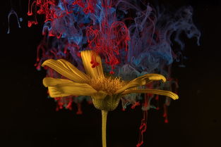 (世界ol洞察法师攻略)探秘世界OL法师攻略大全：提升技能、装备搭配、战斗技巧全解析