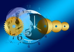 (生存法则有哪些)生存法则是什么？如何在现代社会中应用这些法则来生存？