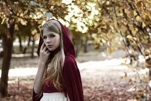 (秋之回忆合集攻略)秋之回忆攻略2:探秋采风,追忆往昔,留住美好季节的点点滴滴 (秋之回忆合集攻略)秋之回忆攻略2:探秋采风,追忆往昔,留住美好季节的点点滴滴