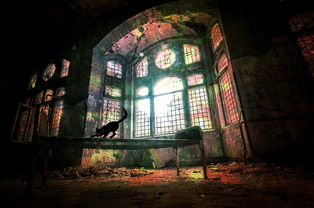 (秘境探险奇闻)揭秘秘境探险家:七天雨之旅,揭秘隐藏的秘密与神秘之地 (秘境探险奇闻)揭秘秘境探险家:七天雨之旅,揭秘隐藏的秘密与神秘之地