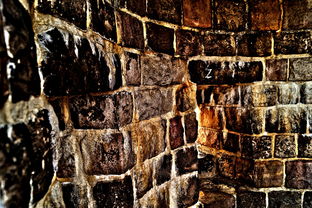 (特斯拉的末日模式)探秘特斯拉末日城堡的终极攻略指南 (特斯拉的末日模式)探秘特斯拉末日城堡的终极攻略指南