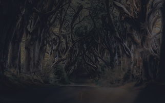 (植物僵尸大战游戏视频)植物僵尸大战原版：揭秘游戏背后的故事及开发历程