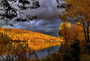 (10首绝美古诗词)十首顶级绝美的古诗,领略千年诗词之美 (10首绝美古诗词)十首顶级绝美的古诗,领略千年诗词之美