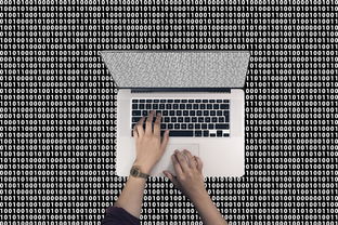 零基础学习电脑编程的最佳自学视频教程推荐,让你轻松掌握编程基本技能 零基础学习电脑编程的最佳自学视频教程推荐,让你轻松掌握编程基本技能