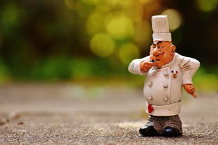 (艾米丽的美味餐厅10)尝试体验艾米丽的美味餐厅安卓版，让你的口味得到满足