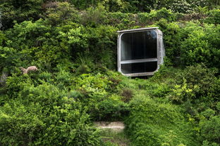 (奇幻森林岛手游)奇幻森林岛英雄排名:探索神秘的森林岛,发掘最强大的英雄 (奇幻森林岛手游)奇幻森林岛英雄排名:探索神秘的森林岛,发掘最强大的英雄