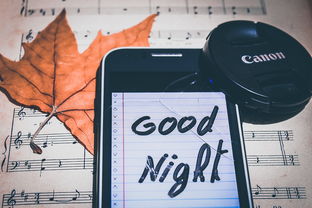 (睡眠神器下载)睡眠模拟器v1.10攻略：让你拥有健康睡眠的秘诀大揭秘！