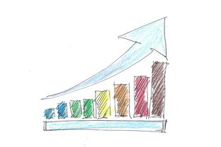 (国际服装市场现状)攀登决胜巅峰：揭秘国际服装行业的发展趋势与成功秘诀