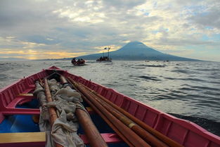 奥哈纳岛2024最新版本下载-奥哈纳岛下载手机版v.8.39