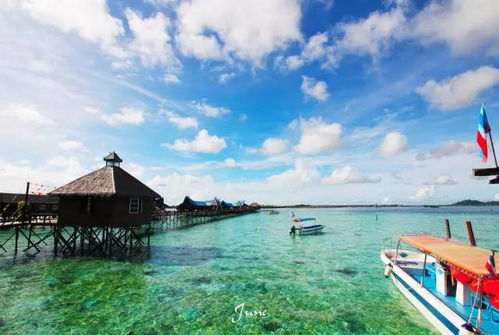 奥哈纳岛2024最新版本下载-奥哈纳岛下载手机版v.8.39