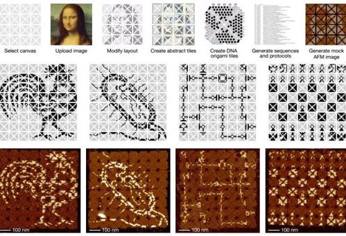 stitch刺绣模拟0.1折下载-stitch刺绣模拟免费安装下载v.6.55 stitch刺绣模拟0.1折下载-stitch刺绣模拟免费安装下载v.6.55