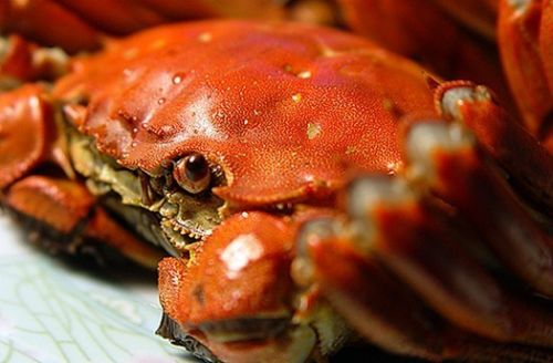 螃蟹生活免费下载-螃蟹生活2024最新中文版下载v.2.20 螃蟹生活免费下载-螃蟹生活2024最新中文版下载v.2.20