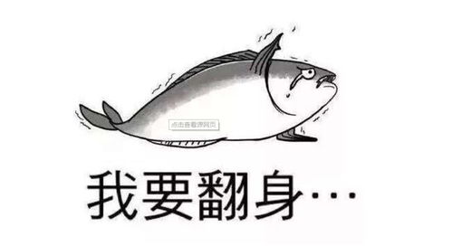 疯狂咸鱼翻身无限金币版下载-疯狂咸鱼翻身无限钻石免费版下载无广告v.1.75