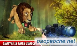 老鼠狩猎3D最新版下载安装-老鼠狩猎3D自制版下载v.6.69