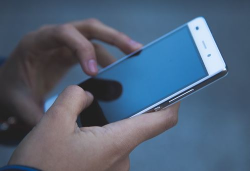 第八中学手机版2024下载-第八中学手机版下载安装v.1.17 第八中学手机版2024下载-第八中学手机版下载安装v.1.17