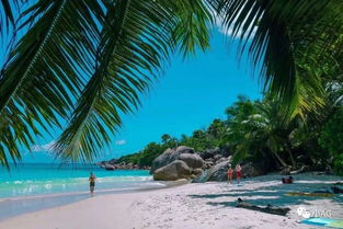 莉拉的世界海滩度假下载官方版-莉拉的世界海滩度假iOS下载v.3.76 莉拉的世界海滩度假下载官方版-莉拉的世界海滩度假iOS下载v.3.76