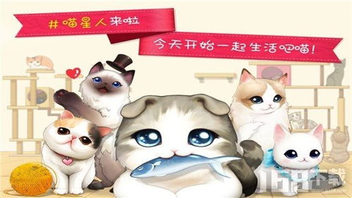 管道猫咪游戏正版下载-管道猫咪无限背包无限血下载v.7.71