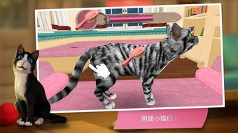 猫咪后院2国际服无敌版-猫咪后院2国际服官方正版手游下载v.6.36