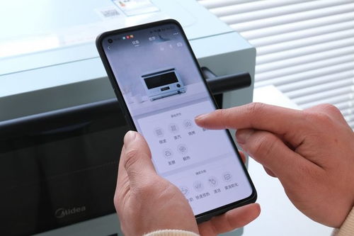 淘塔生活家庭度假村钞票版下载-淘塔生活家庭度假村下载最新版本v.6.39