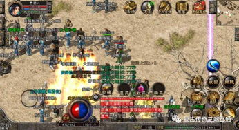 哪些合击服组合最厉害？打造最强队伍的秘籍