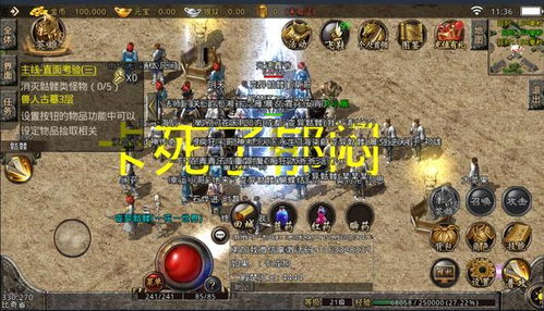 哪些合击服组合最厉害？打造最强队伍的秘籍