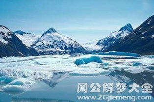 纵观冰原前线：公映纪录片《企鹅卧底的中文版》穿越南极冰川，揭秘企鹅生存秘境