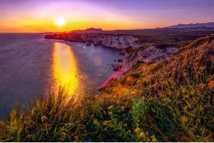 虫虫去旅行：探寻自然之美，畅游未知世界