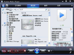 为什么Twirdora无法播放音频文件？解决方法在哪里？