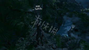 详细解析：如何破解游戏挑战-古墓丽影暗影图文攻略全攻略指南