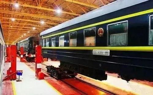 猫猫火车最新消息:全新列车线路即将开通,敬请期待! 猫猫火车最新消息:全新列车线路即将开通,敬请期待!