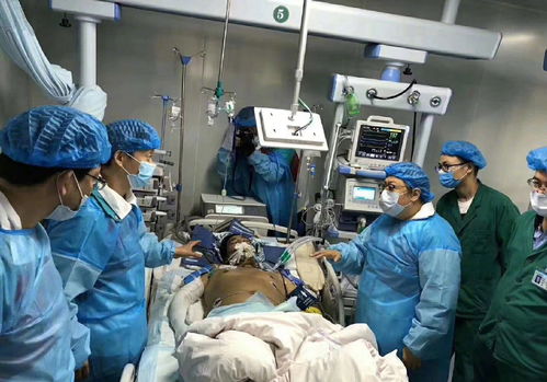 白鹿重伤住院,专家团队全力抢救,希望重见天日。 白鹿重伤住院,专家团队全力抢救,希望重见天日。