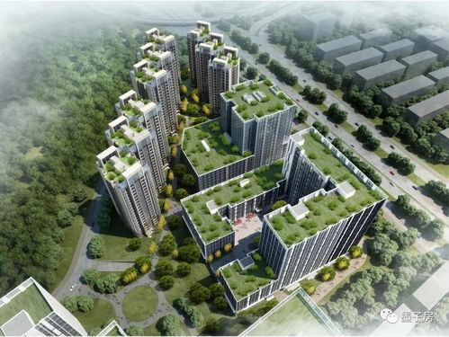 我是侦探家是真实的吗？揭露真相，探索幕后秘密，揭开身世之谜！