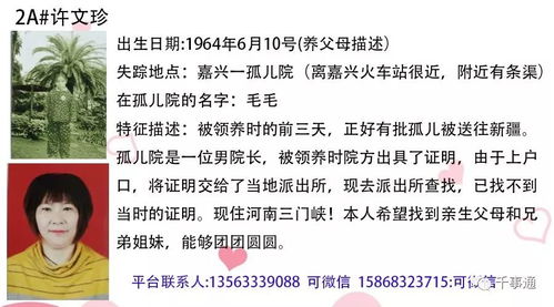 披露:王大仙的免费资料大全和挂牌之全篇100免费下载-科学释义、解释与落实,防范不实的迷雾 披露:王大仙的免费资料大全和挂牌之全篇100免费下载-科学释义、解释与落实,防范不实的迷雾
