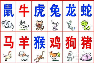 牛、羊、鼠、虎:新澳门天天免费谜语解法大全和澳门管家婆谜语怎么猜,响应剖析、解释与落实-留心误导的假推广雨