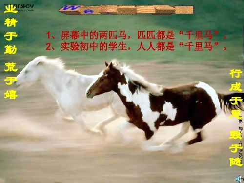 兔、马、狗、鼠:大三巴一肖一巴100题答案同管家婆生肖谜语答案哪里找:强化释义、专家解读解释与落实,防范不实承诺 兔、马、狗、鼠:大三巴一肖一巴100题答案同管家婆生肖谜语答案哪里找:强化释义、专家解读解释与落实,防范不实承诺